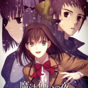 《魔法使之夜》文字冒险游戏光盘